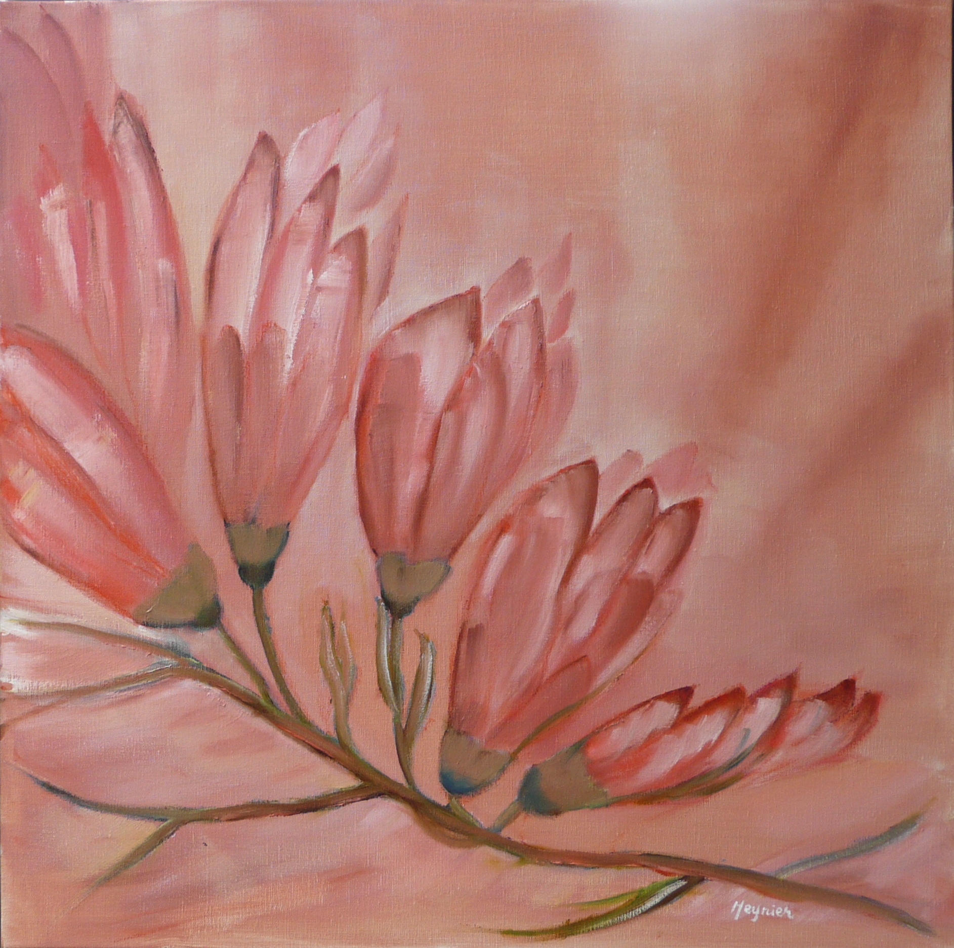 Magnolias 2