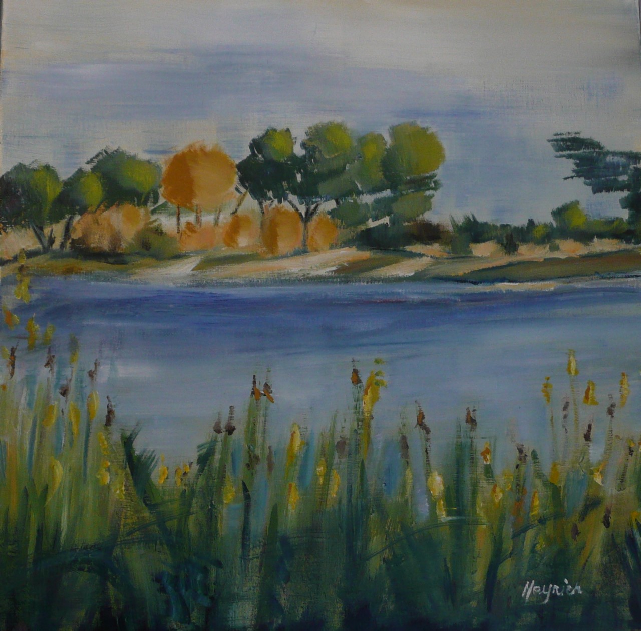 Plan d'eau à Certes