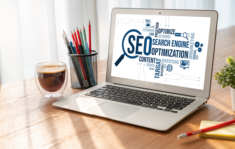 seo800